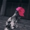 Carl Johnson [Remix] - J.R. King lyrics