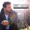Ben Bir Garip Aşığım - Davut Güloğlu lyrics