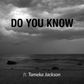 Do You Know (feat. Tameka Jackson) artwork