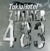 Zimmer 483 artwork