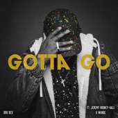 Gotta Go (feat. Jeremy Rodney-Hall & Wande) artwork