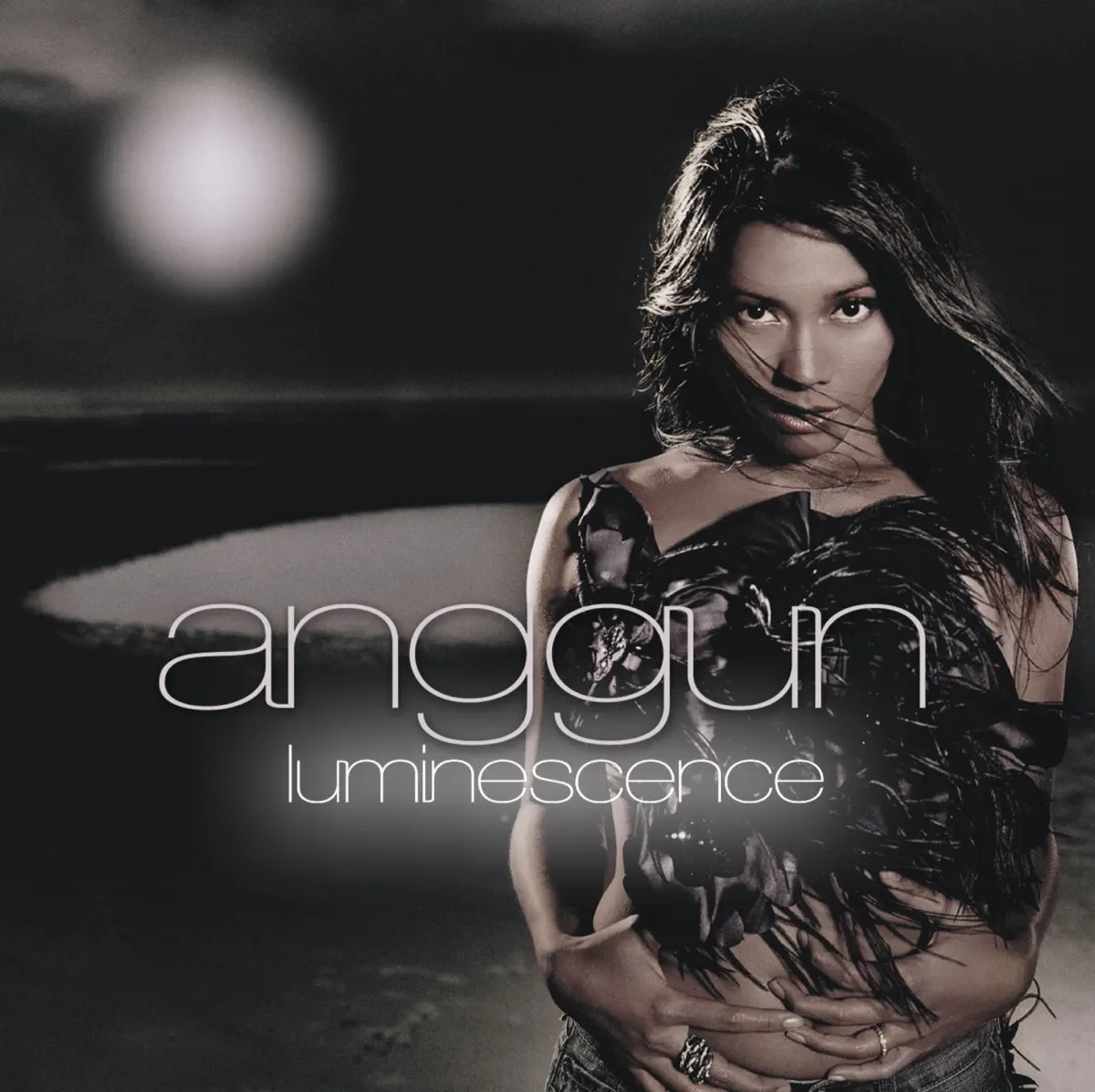 Anggun - Luminescence (International Version) (2005) [iTunes Plus AAC M4A]-新房子