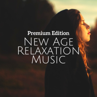 Flow Zen Silent & Music for Deep Relaxation Meditation Academy - New Age Relaxation Music: Premium Edition artwork