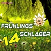 Frühlings Schlager, 2018