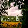 Ma Simt Bine (Muzica Romaneasca de Dans cu Luz) - Single album lyrics, reviews, download