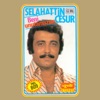 Selahattin Cesur - Seven Böyle Sevilir Mi