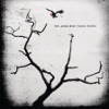 The Airborne Toxic Event - Sometime Around Midnight