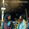 Perfect Rain - Single