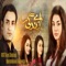 Aye Zindagi (From ''Aye Zindagi'') - Quratulain Balouch lyrics