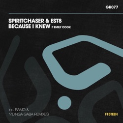 Spiritchaser - Because I Knew