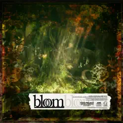 bloom - IOSYS bloom - IOSYS