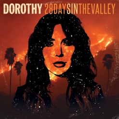 28 DAYS IN THE VALLEY cover art