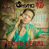 Never Legal artwork