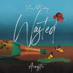 Wasted (Acoustic) - Single - Jesse McCartney