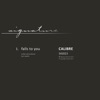 Falls to You - Single