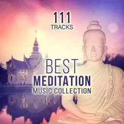 111 Tracks: Best Meditation Music Collection - Serenity Nature Sounds (Springwater, Birds & Gentle Rain) Yoga, Relaxing Instrumental Songs and Transcendental Meditation Mantras for Zen Garden by Various Artists album reviews, ratings, credits