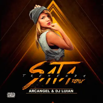 Tremenda Sata (Remix) - Single by Arcángel & DJ Luian album reviews, ratings, credits