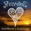 Permanent (feat. Colbie Caillat) - Single album lyrics, reviews, download