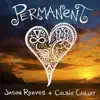 Stream & download Permanent (feat. Colbie Caillat) - Single