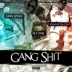 Gang Shit (feat. Rocaine, Mari Bandz & Steven B the Great) Song Lyrics