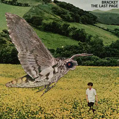 The Last Page - Bracket