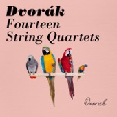 String Quartet No.5 in F minor, op.9 B.37 : 1. Moderato artwork