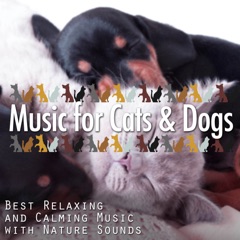 Music for Cats & Dogs: Best Relaxing and Calming Music with Nature Sounds