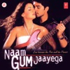 Naam Gum Jaayega (Original Motion Picture Soundtrack) artwork