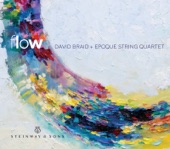 David Braid: Flow artwork