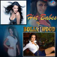 Various Artists - Hot Babes of Bollywood artwork