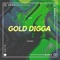 Gold Digga - Akil Omari lyrics