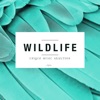 Wildlife - Unique Music Selection, Vol. 10, 2016