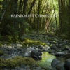 Rainforest Chronicles
