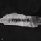 Finishline - Primisis lyrics