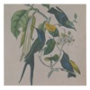 Susumu Yokota - Gekkoh