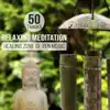 50 Tracks: Relaxing Meditation – Healing Zone of Zen Music for Harmony, Serenity & Wellness, Pure Relaxation for Body and Mind album lyrics, reviews, download