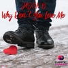 Why Don't You Love Me - Single