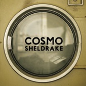 Cosmo Sheldrake - The Moss