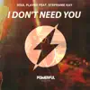 I Dont Need You (feat. Stephanie Kay) song lyrics
