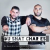 Du Shat Char Es (feat. Suro) - Single