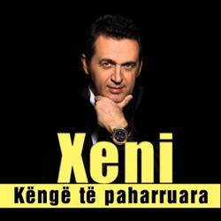 Shkelzen Jetishi Xeni - Në Muzeun Historik