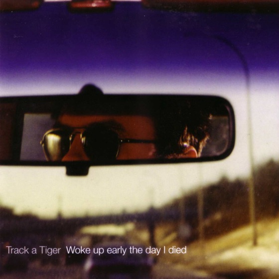 Cover artwork for With Stars Down