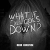 What If It All Goes Down? - Single