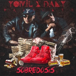 Yomil y El Dany - Activo