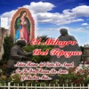 El Milagro Del Tepeyac