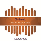 Never Go Away (TomoVip Remix) artwork