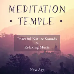 Meditation Temple - Relaxing Music and Sounds of Nature for Guided Meditation Sessions and Yoga Classes by Healing Boy & Nature Sounds Nature Music album reviews, ratings, credits