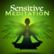 New Age Meditation - Mental Detox Series lyrics