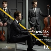Dvořák: Piano Trios, Op. 65 & 90 "Dumky" artwork