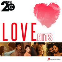 Various Artists - The Big 20 (Love Hits) artwork